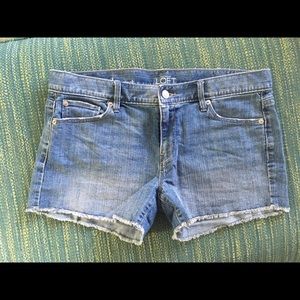 LOFT Shorts